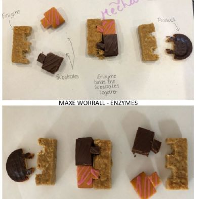tsa_HomeLearningScience (5)